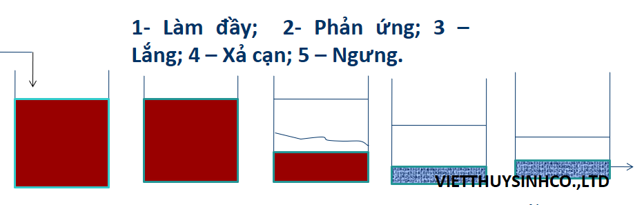 Quy trình bể sbr