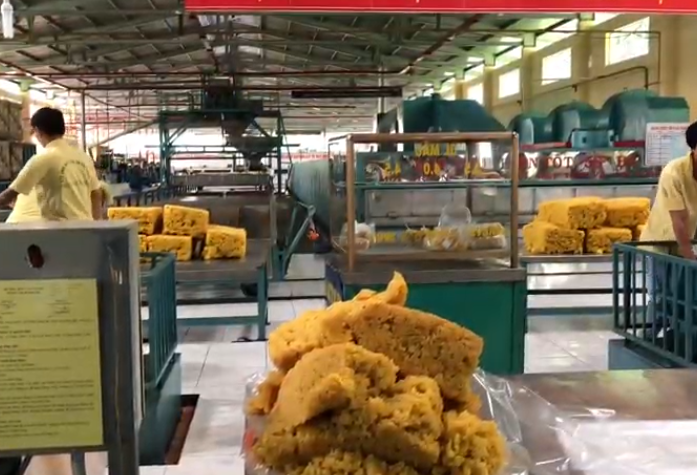 xử lý nước thải chế biến mủ cao su