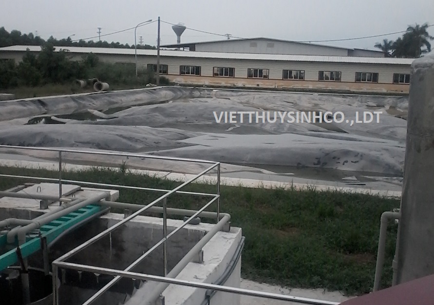 Hệ thống xử lý nước thải trại chăn nuôi