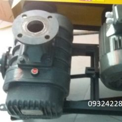 Máy thổi khí Goldentech
